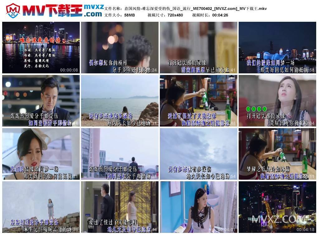 意国风情-难忘深爱受的伤_国语_流行_ME700402